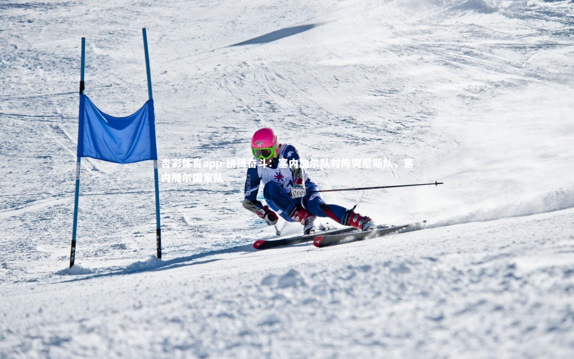 杏彩体育app-拼搏奋斗：塞内加尔队对阵突尼斯队，塞内加尔国家队