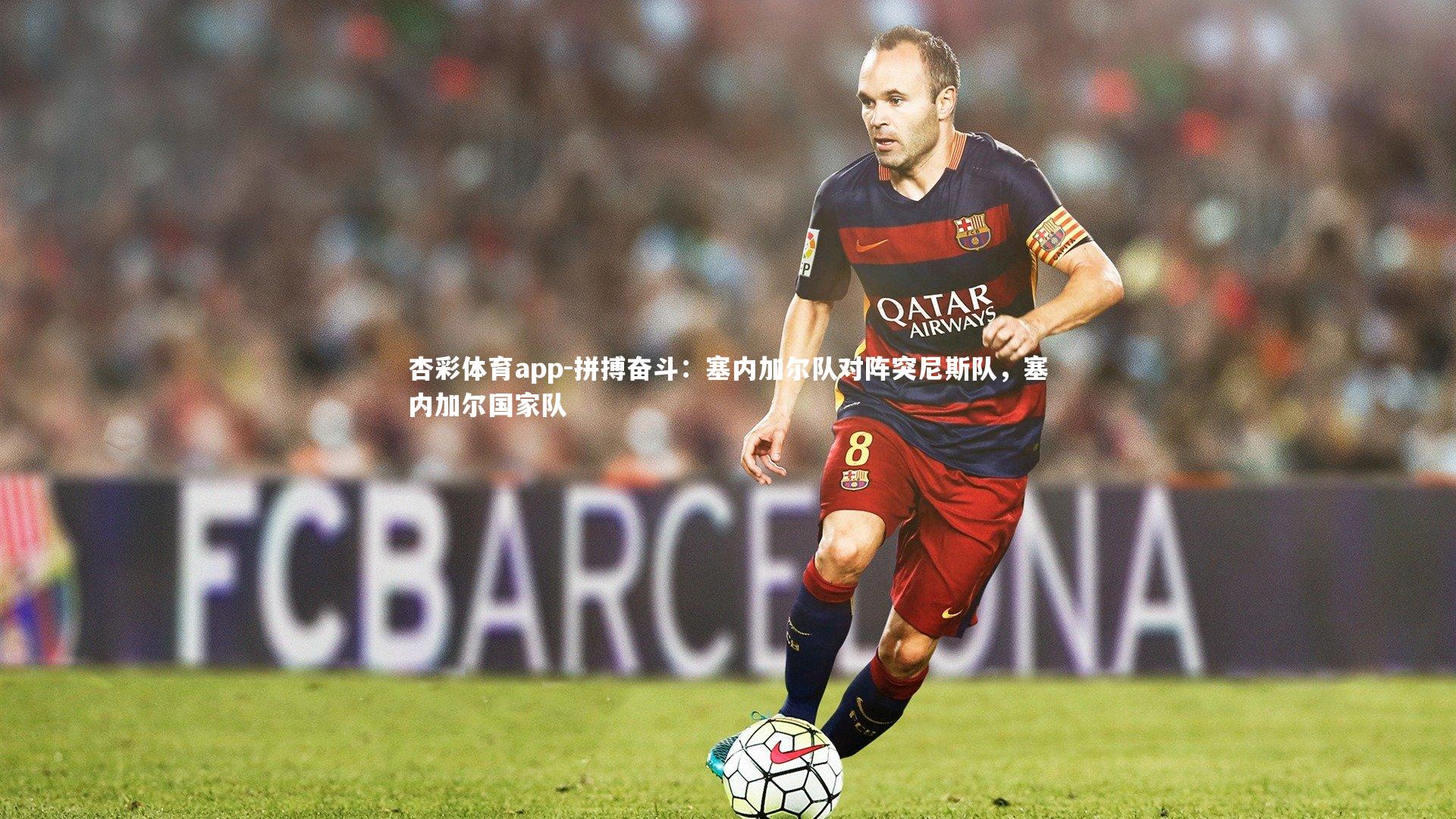 拼搏奋斗：塞内加尔队对阵突尼斯队，塞内加尔国家队