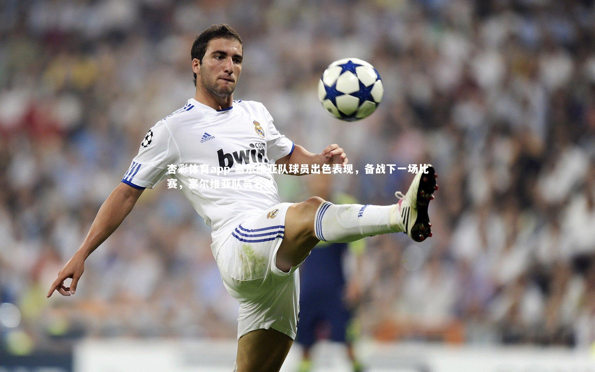 塞尔维亚队球员出色表现，备战下一场比赛，塞尔维亚队员名单